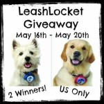 leashlocket
