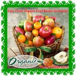 organicfruitbasket