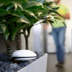 plant wifi