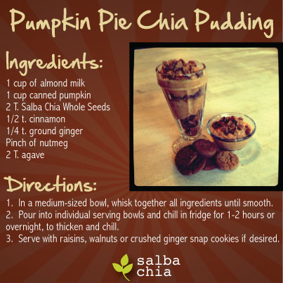 Pumpkin-Pie-Chia-Pudding (2)