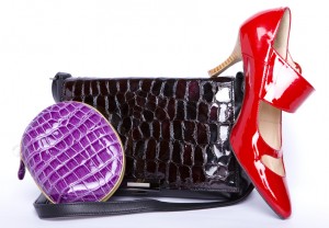 Handbag and a purse and a shoes