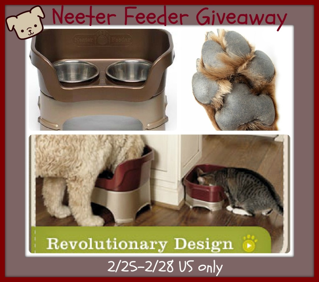 neetfeedbutton