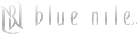 bn_logo_gradient-high-res (1)