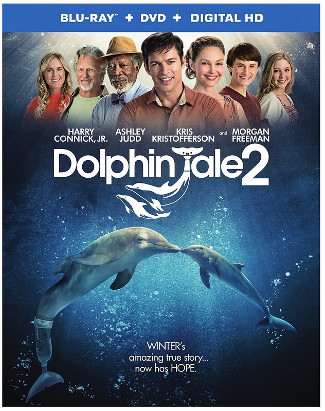 Learn more about the Dolphin Tale 2 DVD Release at #MomDoesReviews