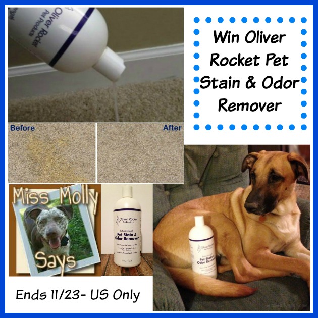 pet stain remover giveaway