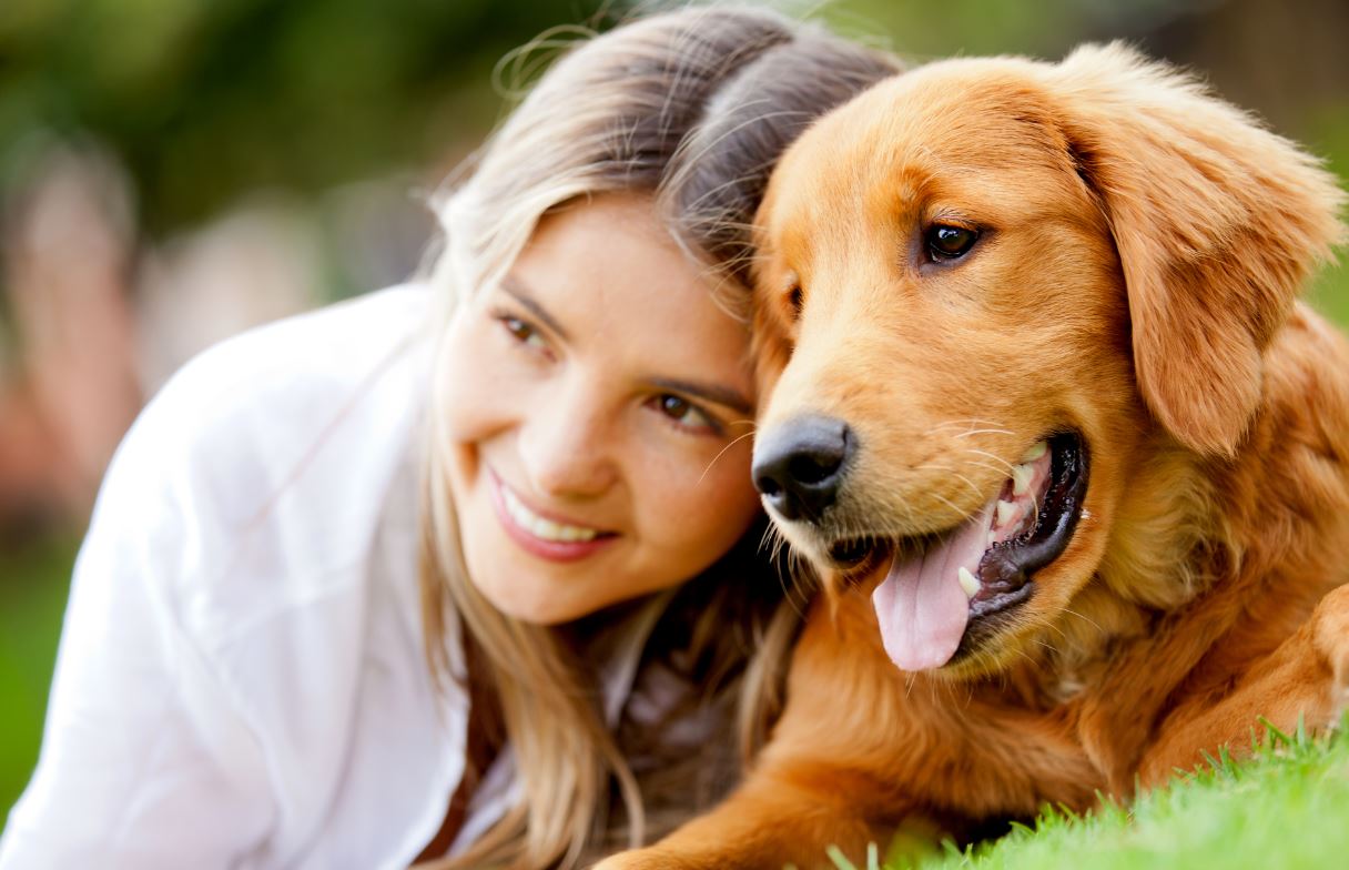Simple Tips To Keep Your Home In Good Shape With Pets In The House