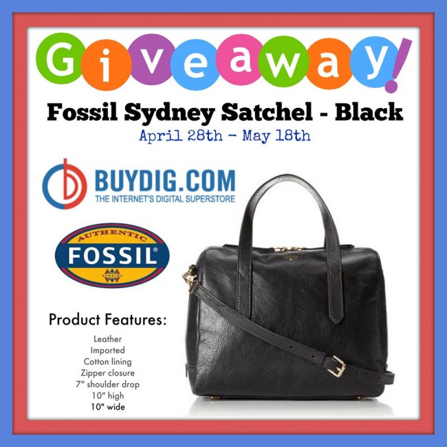fossil handbag buydig giveaway
