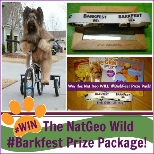 nat geo new barkfest giveaway