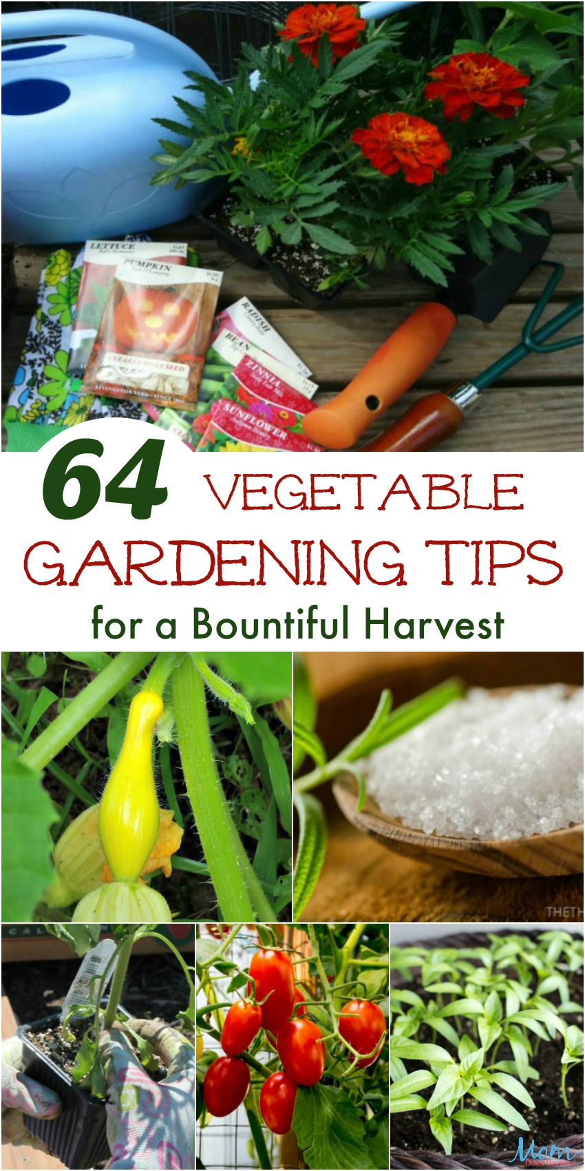 64 Vegetable Gardening Tips for a Bountiful Harvest banner