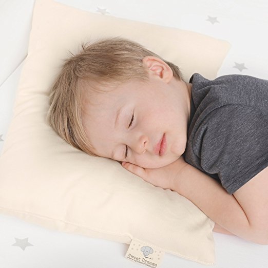 5 Important Tips to Help You Buy the Right Organic Pillow for Your Toddler