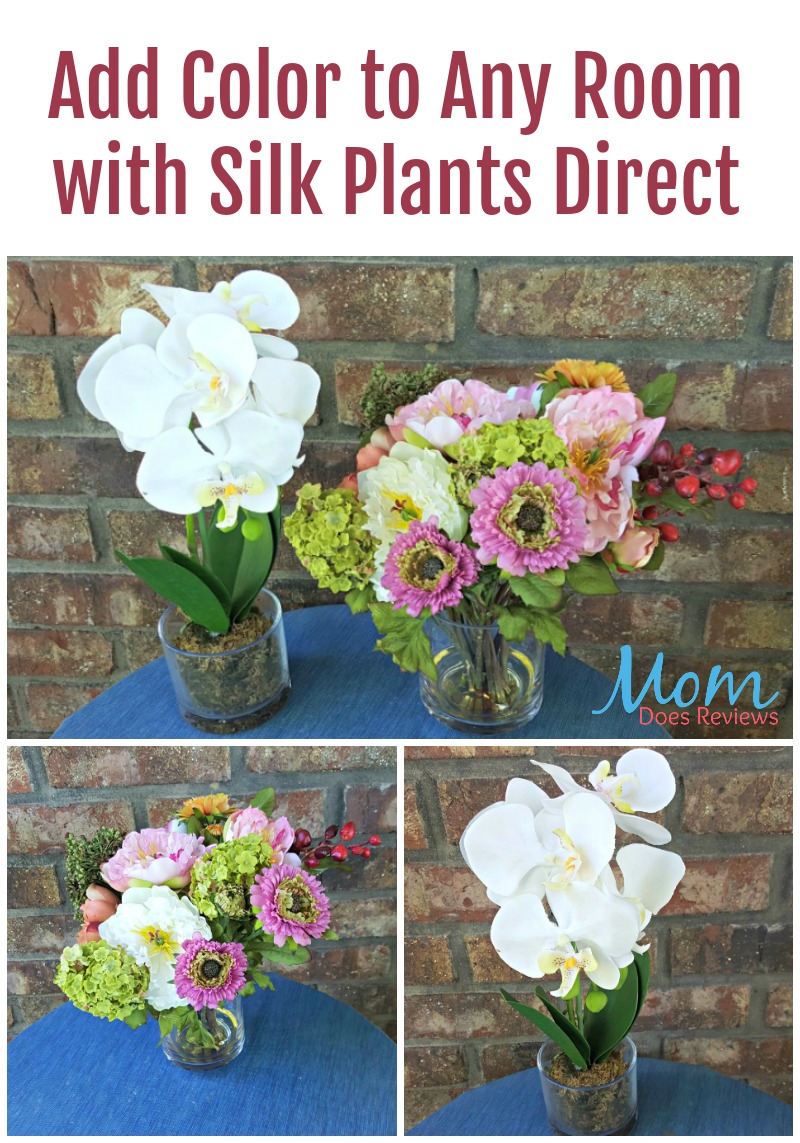 Add Color to Any Room with Silk Plants Direct
