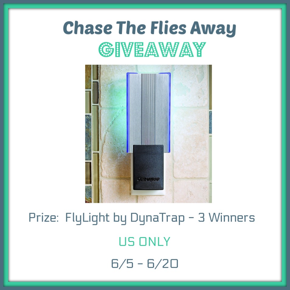 Chase the Flies Away Giveaway! Win FlyLight DynaTraps