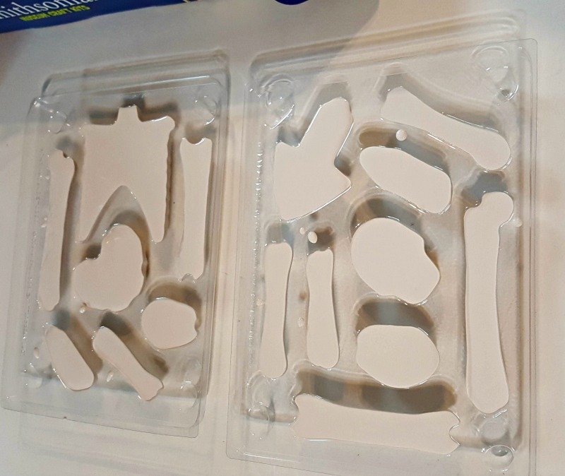 Ignite the Love of Learning with Skullduggery Kits