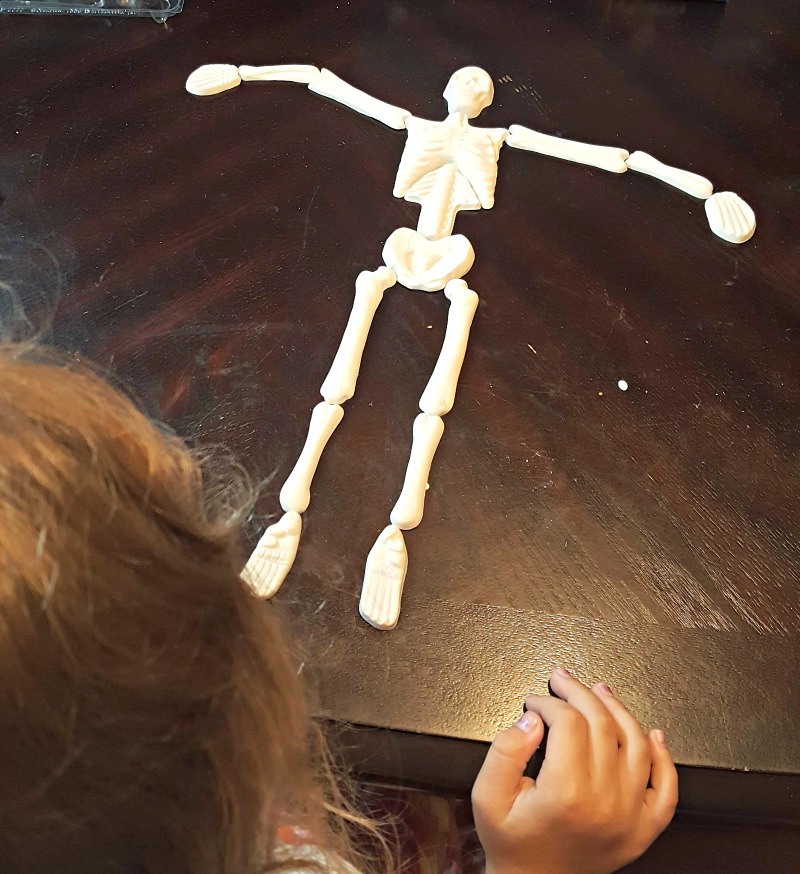 Ignite the Love of Learning with Skullduggery Kits