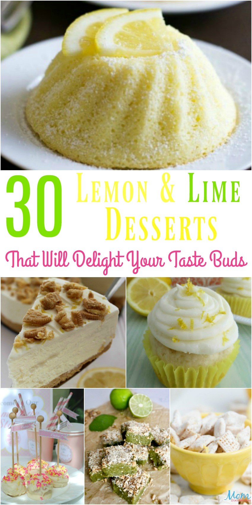 30 Lemon and Lime Desserts That Will Delight Your Taste Buds {Part 2}