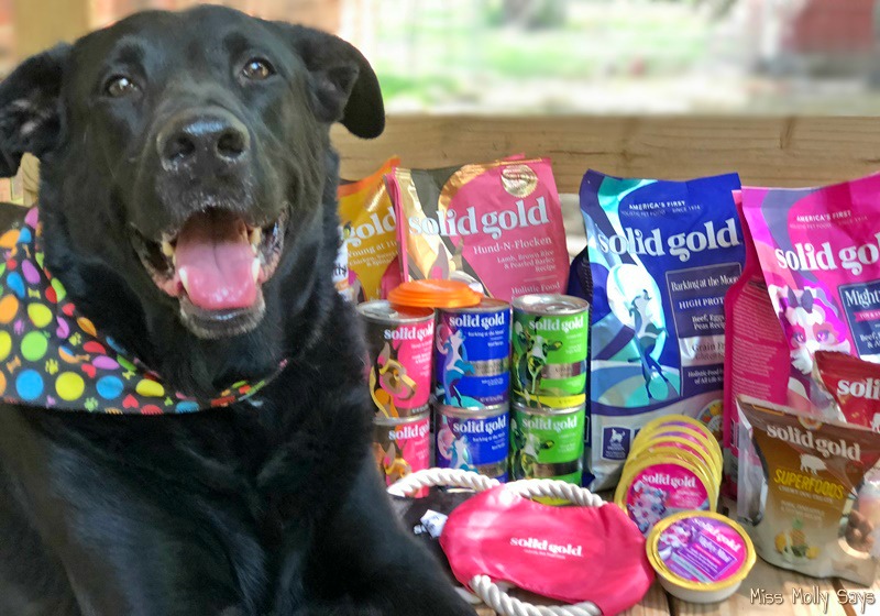 Custom Solid Gold Prize Package for Dogs (arv $100)