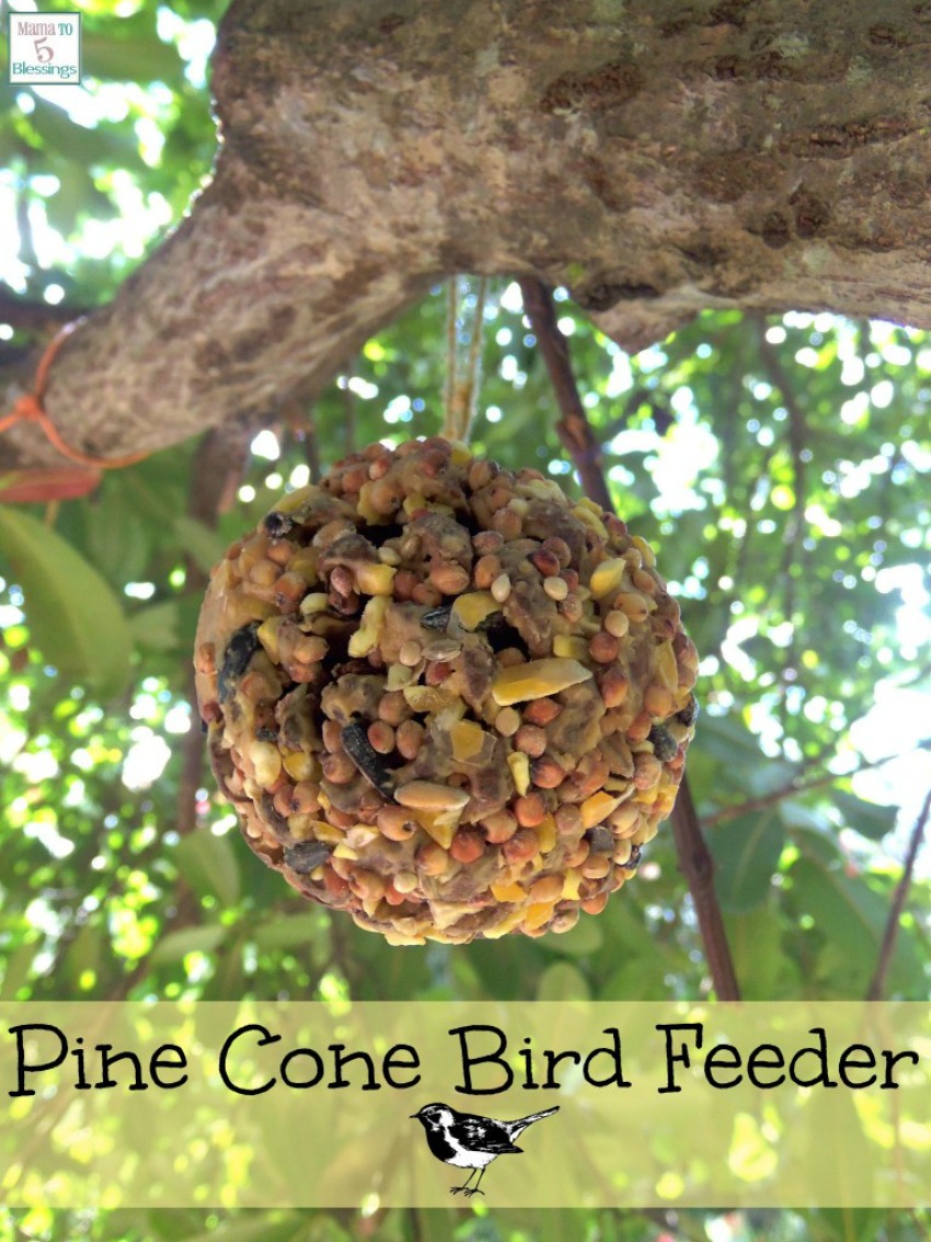DIY Pine Cone Bird Feeder