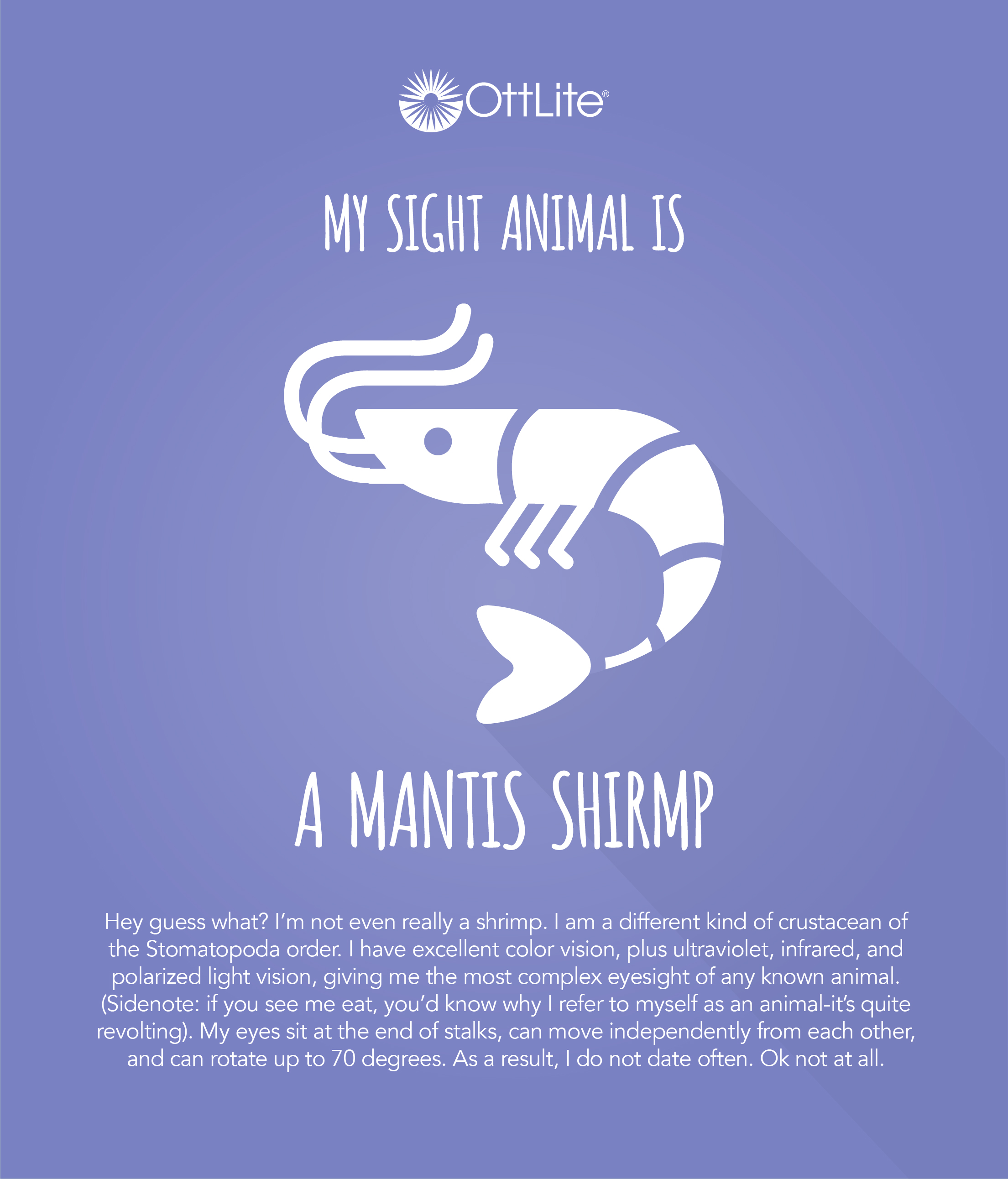 Sight Animal