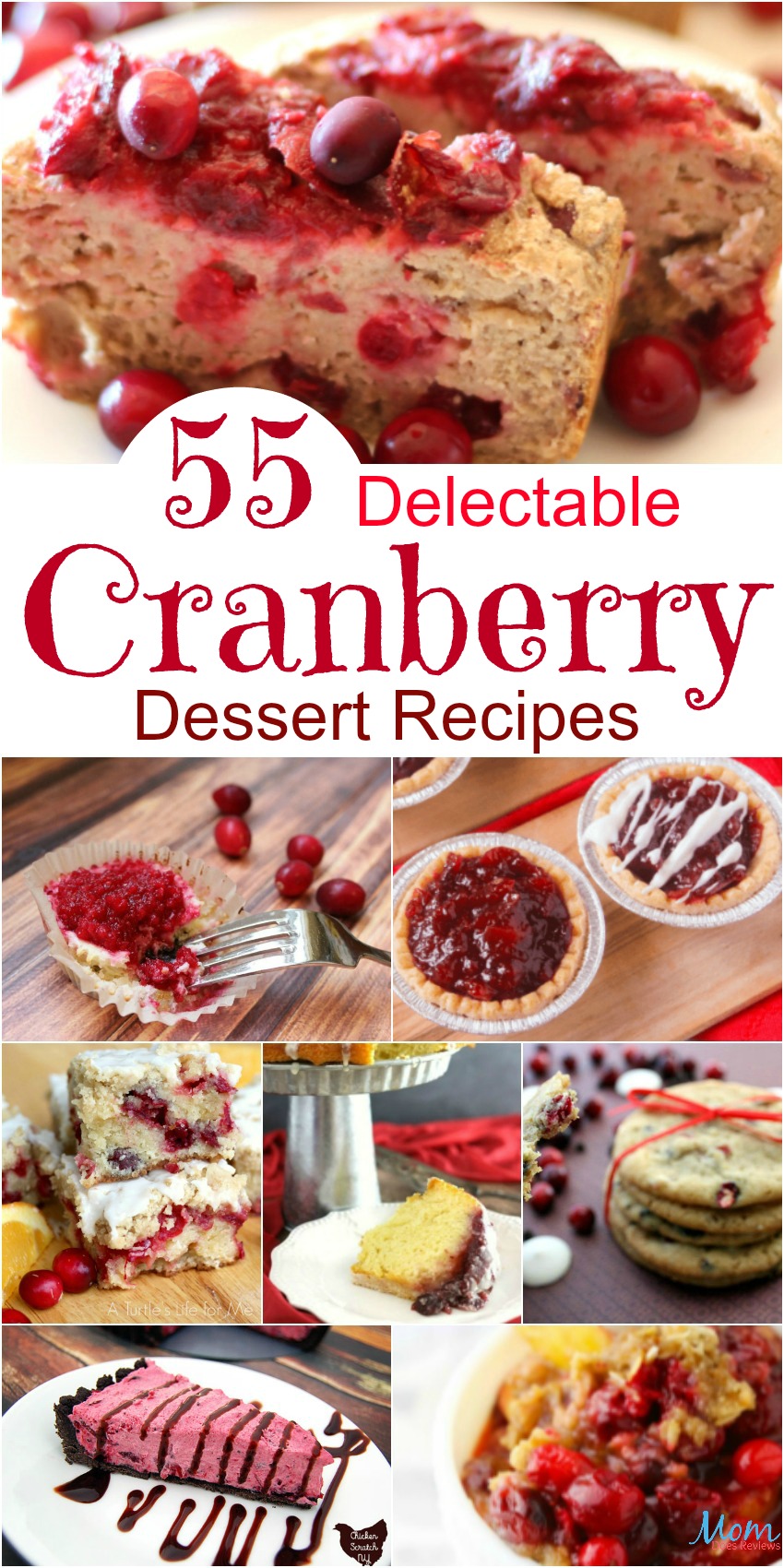 55 Delectable Cranberry Dessert Recipes Perfect for the Holidays