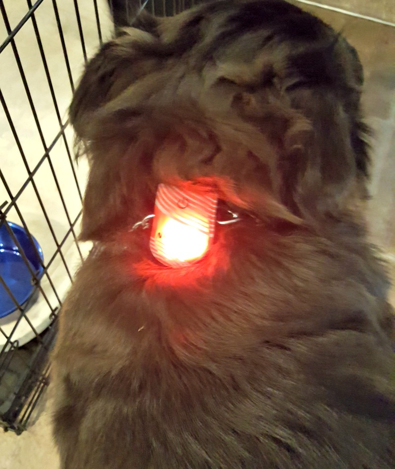 Light the Night with Nite Ize
