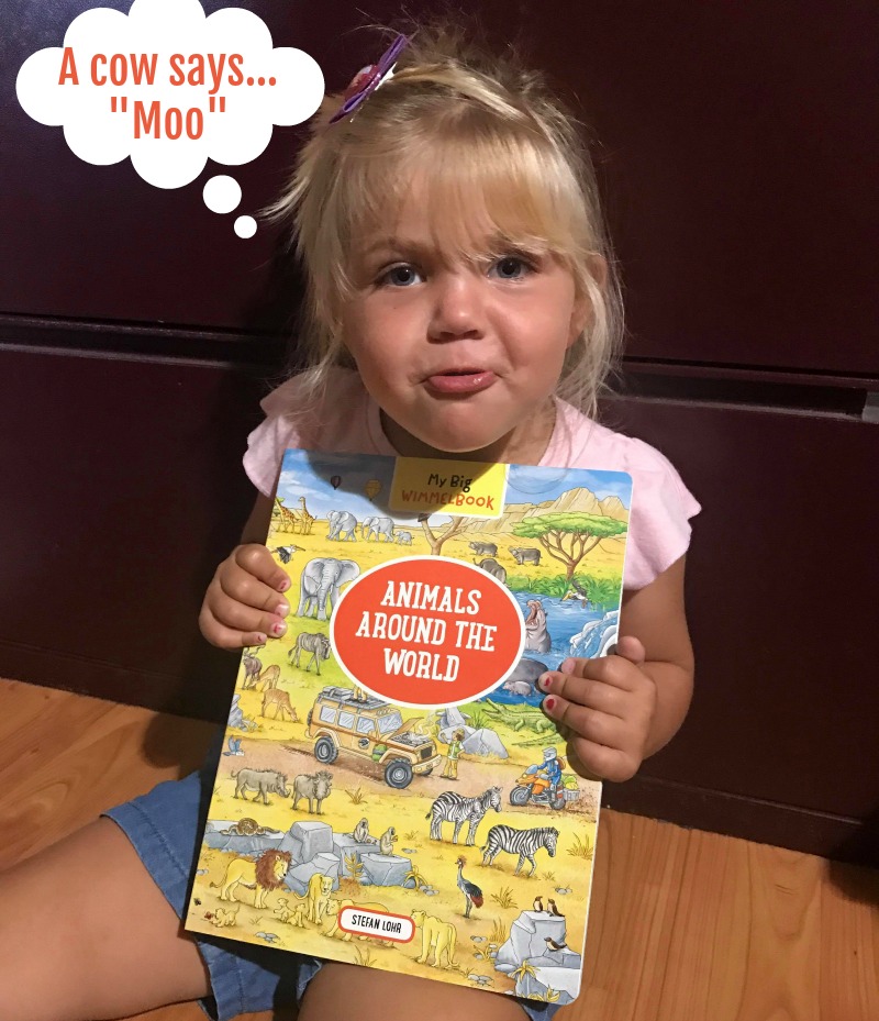Books to Encourage Reading