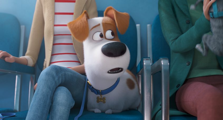 THE SECRET LIFE OF PETS 2 | Watch the NEW Trailer! #TheSecretLifeofPets2