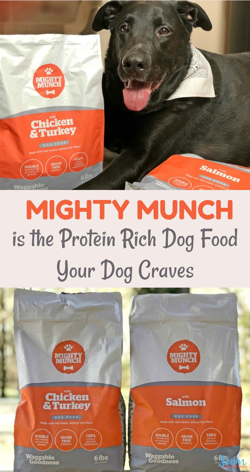 Mighty Munch is the Protein Rich Dog Food Your Dog Craves