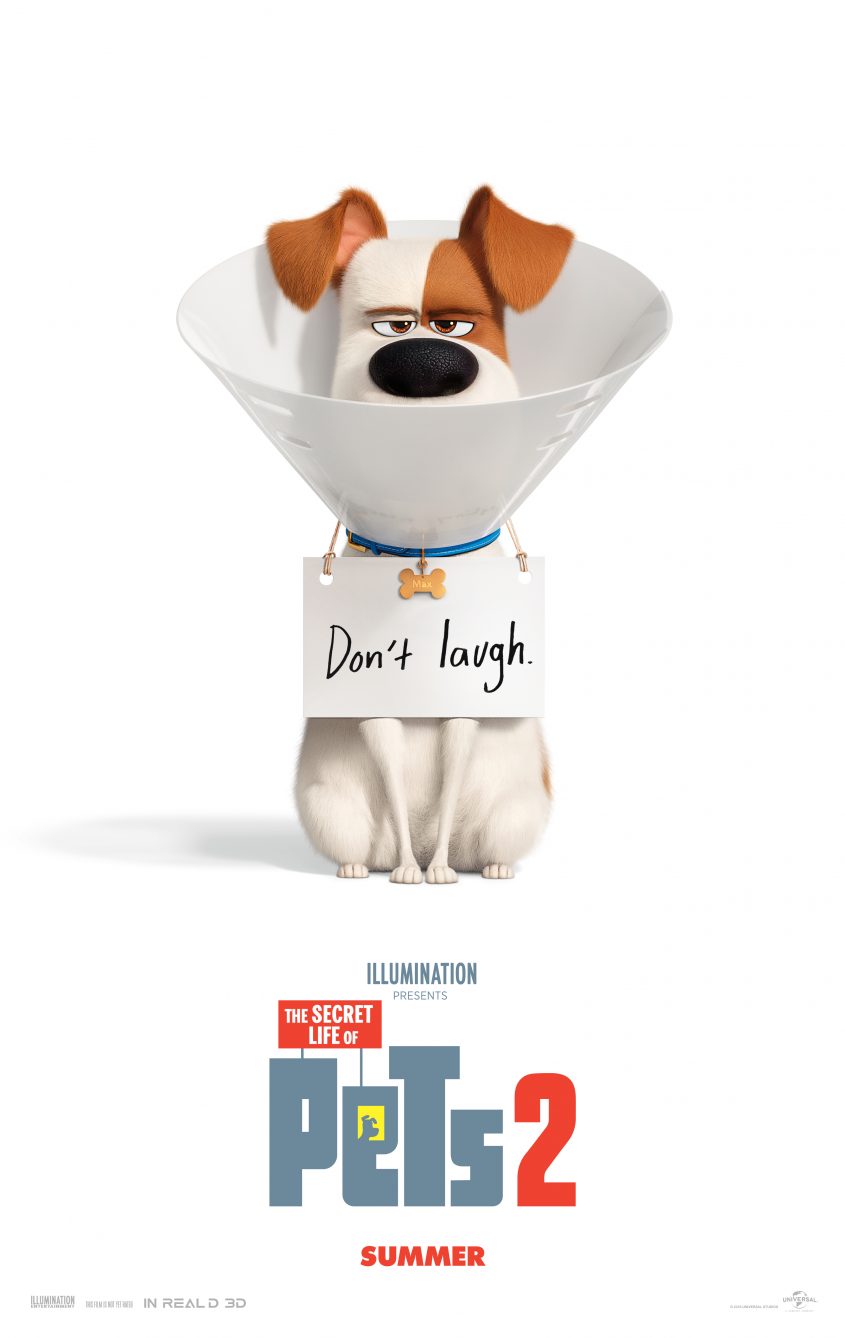 THE SECRET LIFE OF PETS 2 | Watch the NEW Trailer #TheSecretLifeofPets2