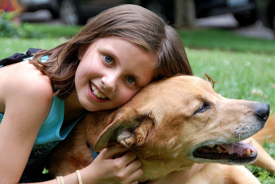 Kids and Canines: Teaching Your Child How to Interact with Dogs