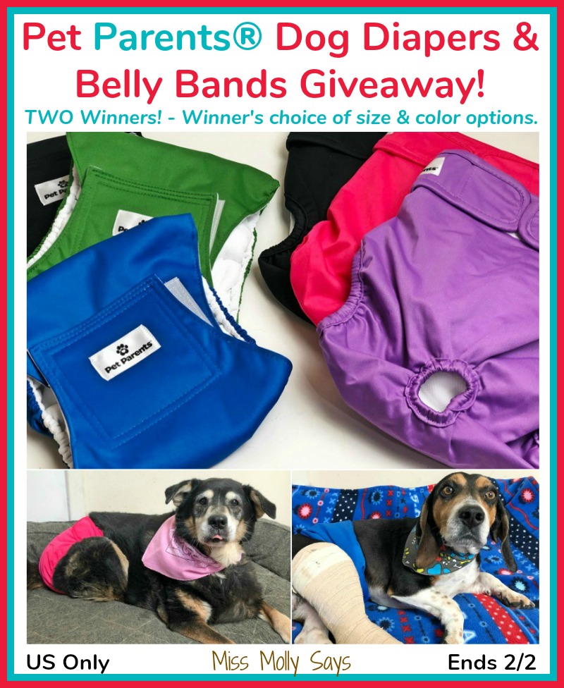 Pet Parents Dog Diapers & Belly Bands Giveaway! TWO Winners! (one gets diapers and one gets belly bands)