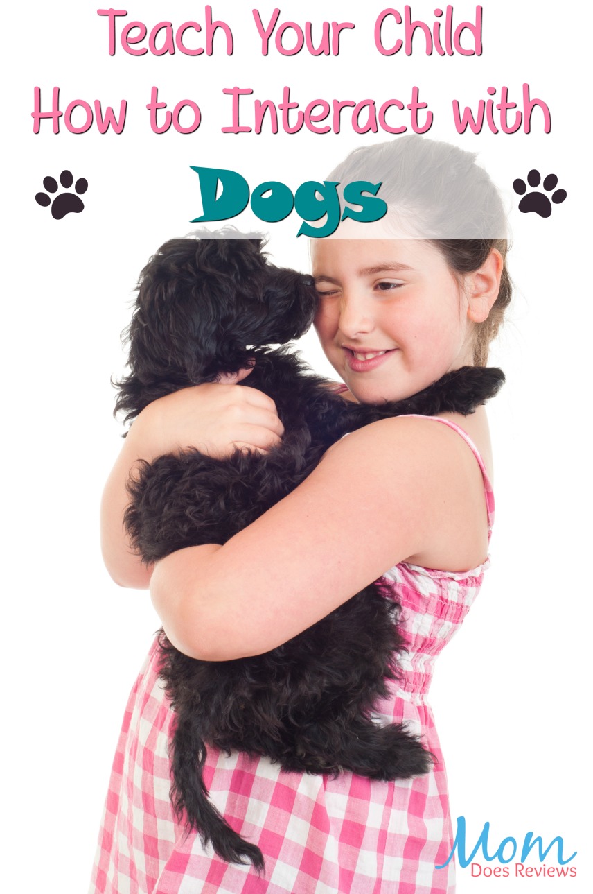 Kids and Canines: Teaching Your Child How to Interact with Dogs  #pets #parenting #dogs #kids