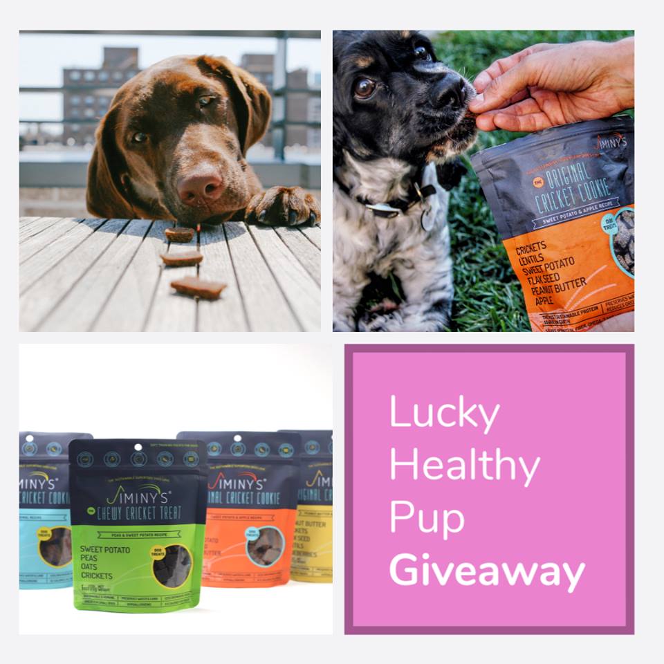 #Win Lukcy Healthy Pup Giveaway 3 winners 