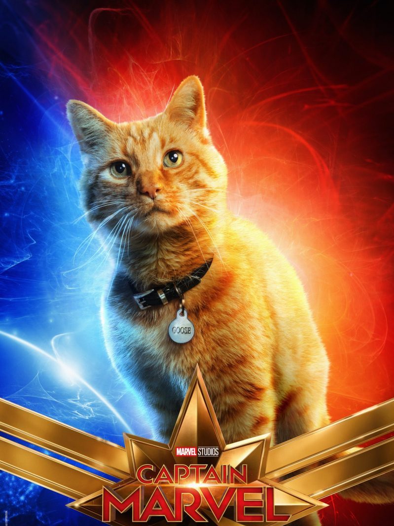 Have a Captain Marvel Movie Night- It's Fun for the Whole Family! #CaptainMarvel