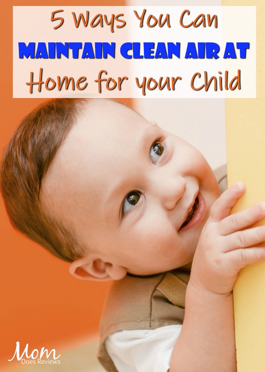 Raising an Asthmatic Child? 5 Ways You Can Maintain Clean Air at Home