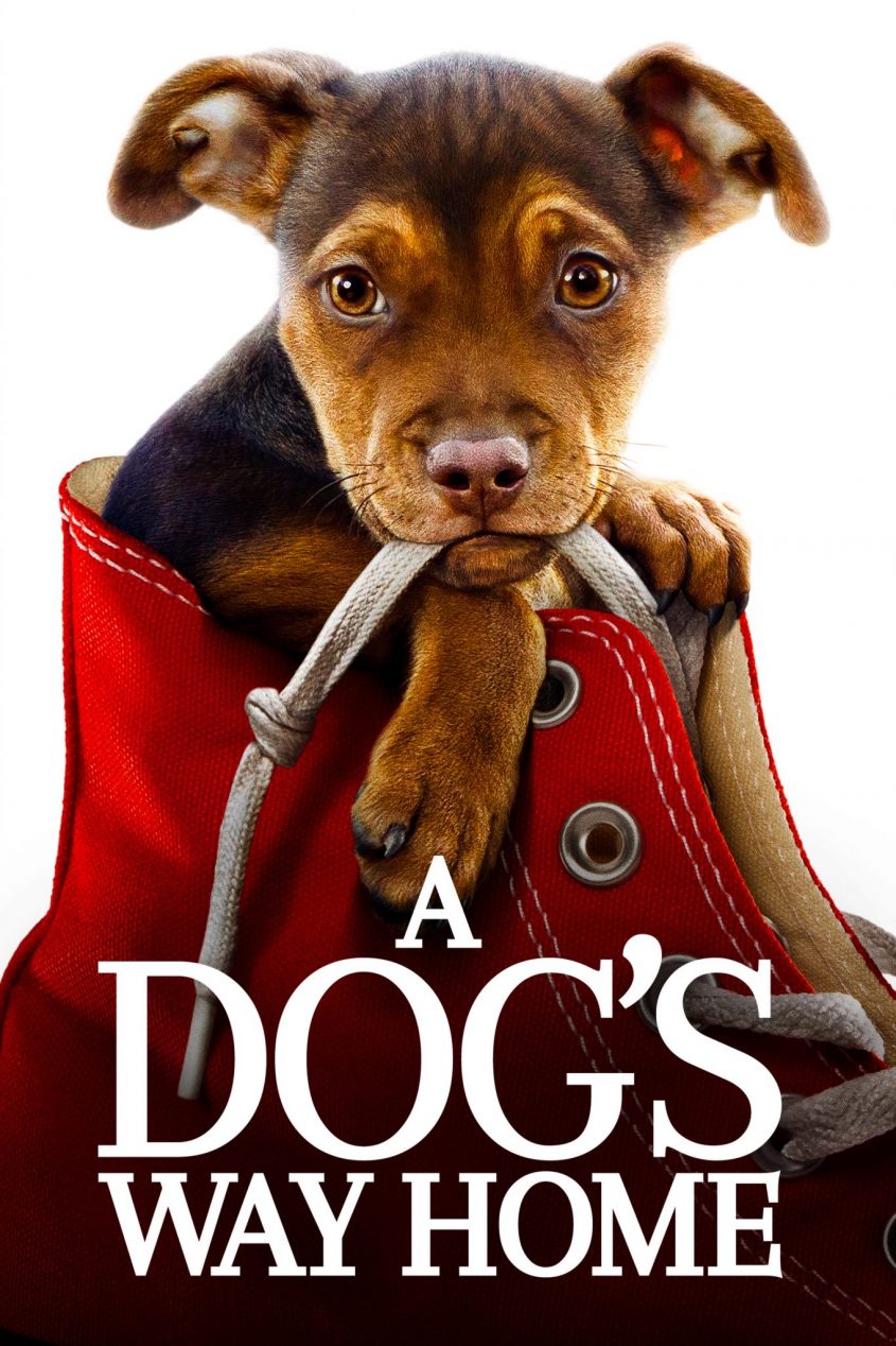 Sony Pictures' A DOG'S WAY HOME on Digital 3/26 and Blu-ray and DVD 4/9