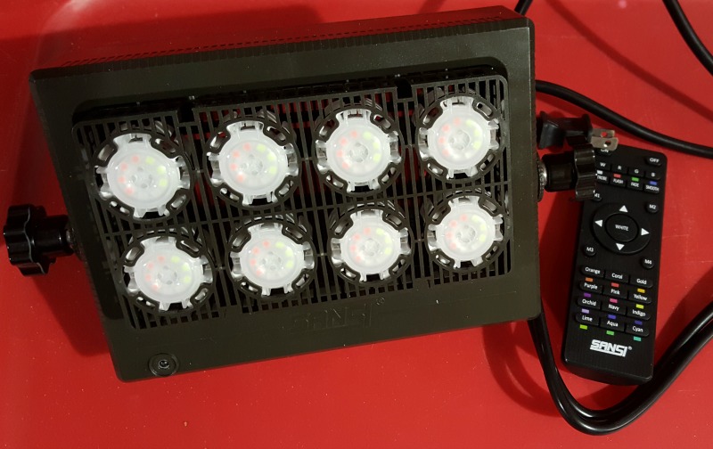 SANSI Lights Shine on Those You Love