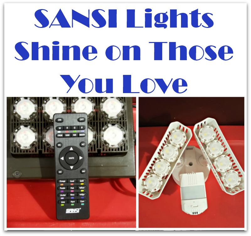 SANSI Lights Shine on Those You Love