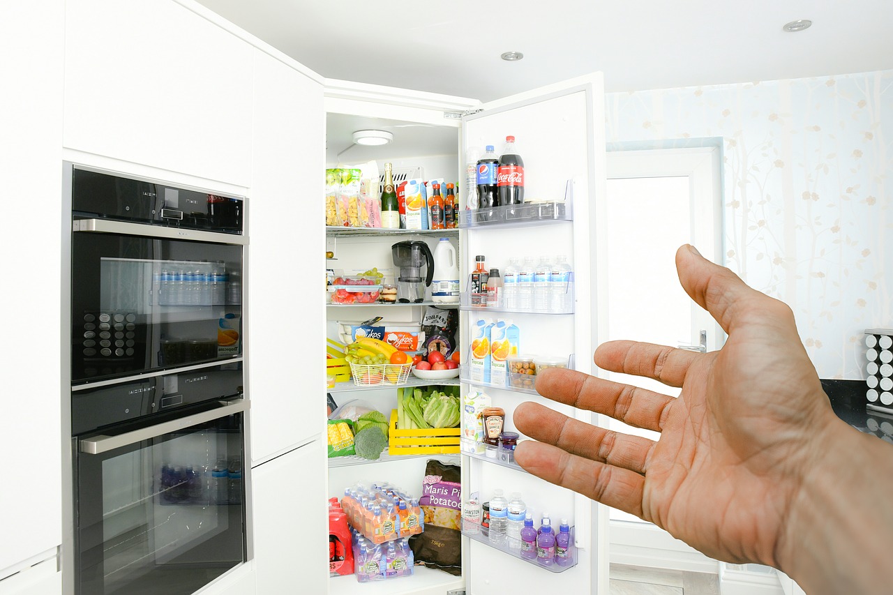 A simple guide to properly maintain and care for your refrigerator