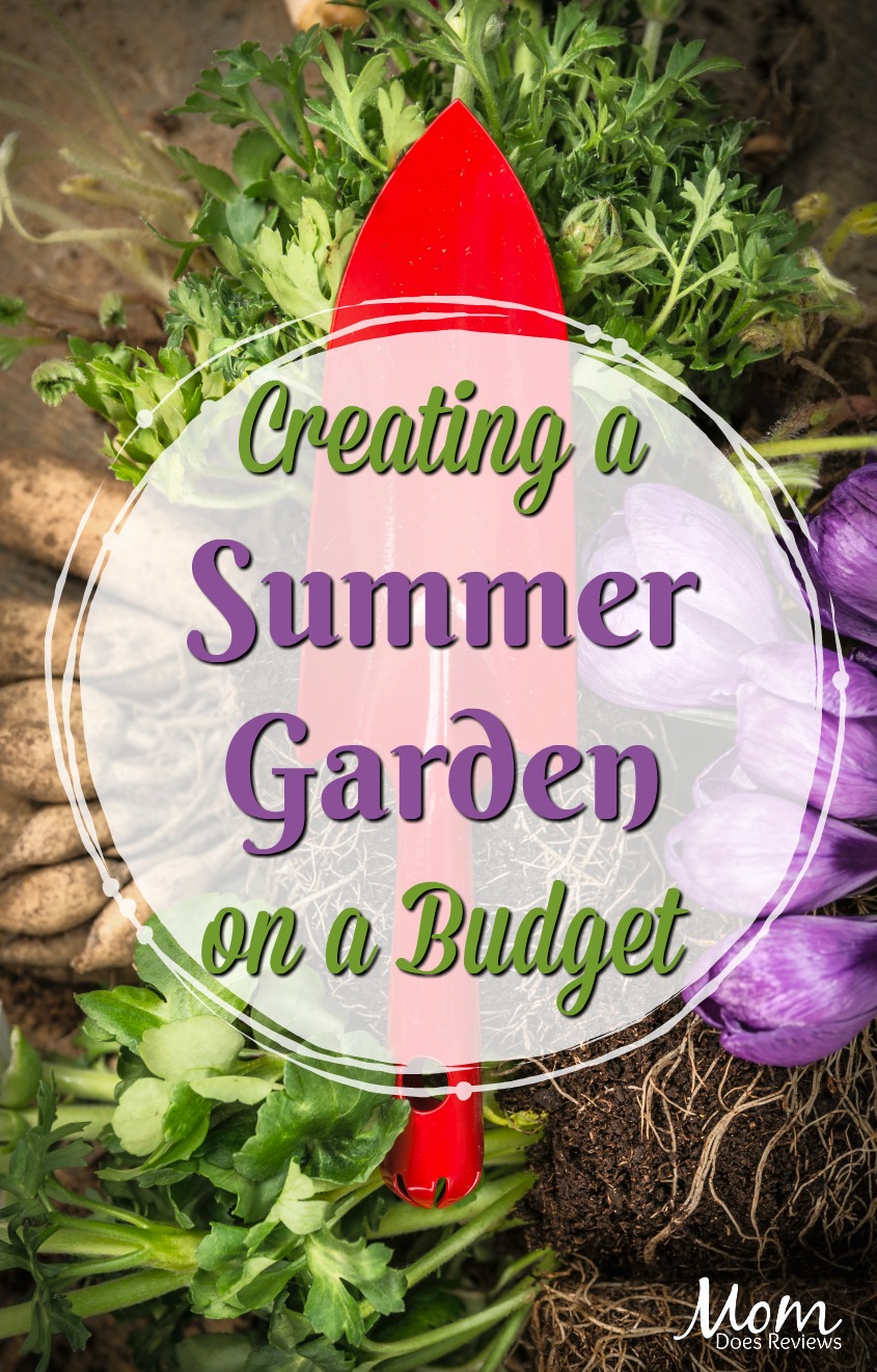 Creating a Summer Garden on a Budget #gardens #gardening #summer #flowers #veggiegarden