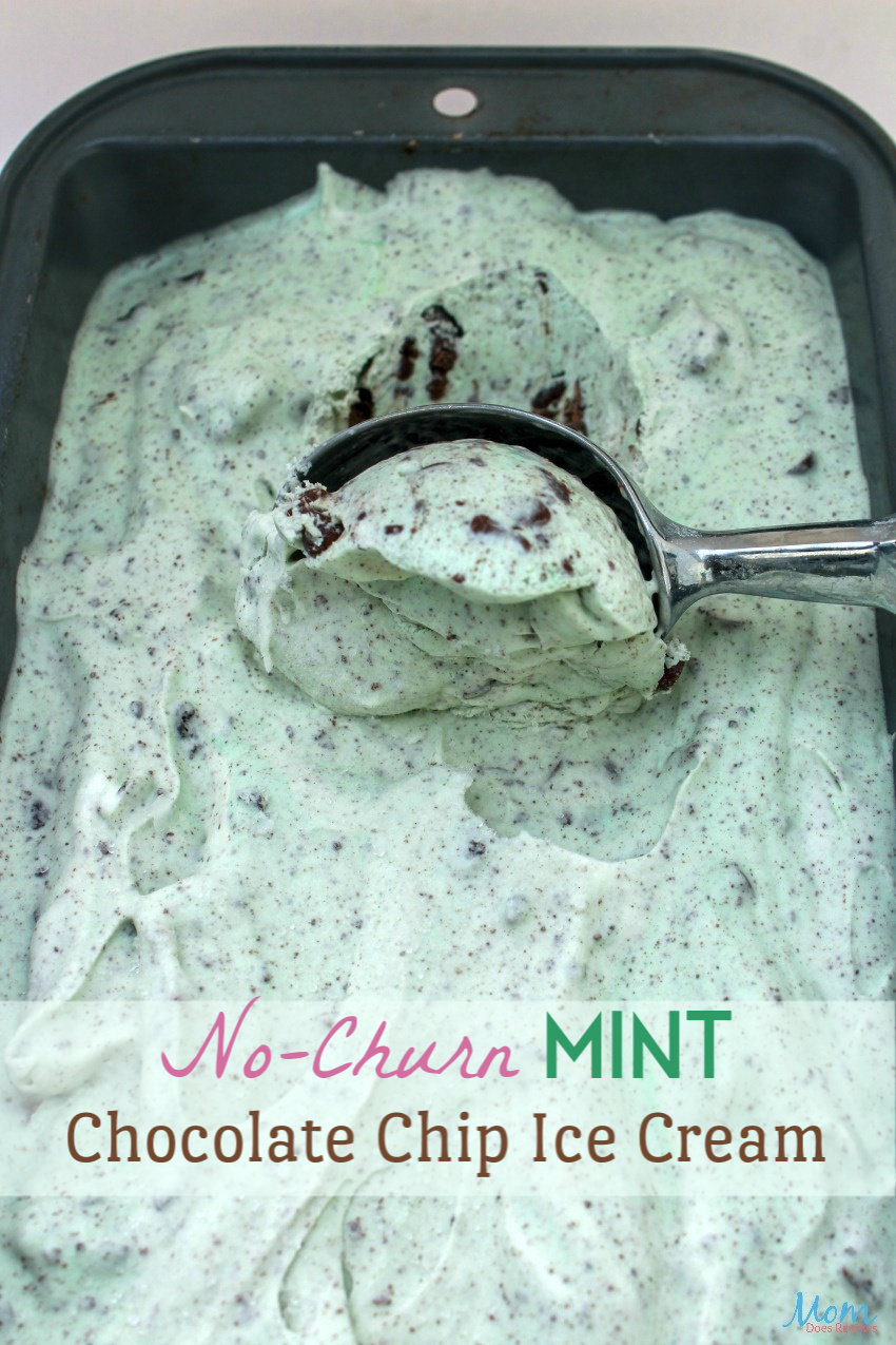 No-Churn Mint Chocolate Chip Ice Cream Recipe #dessert #food #foodie #icecream #mintchocolate #chocolatechip