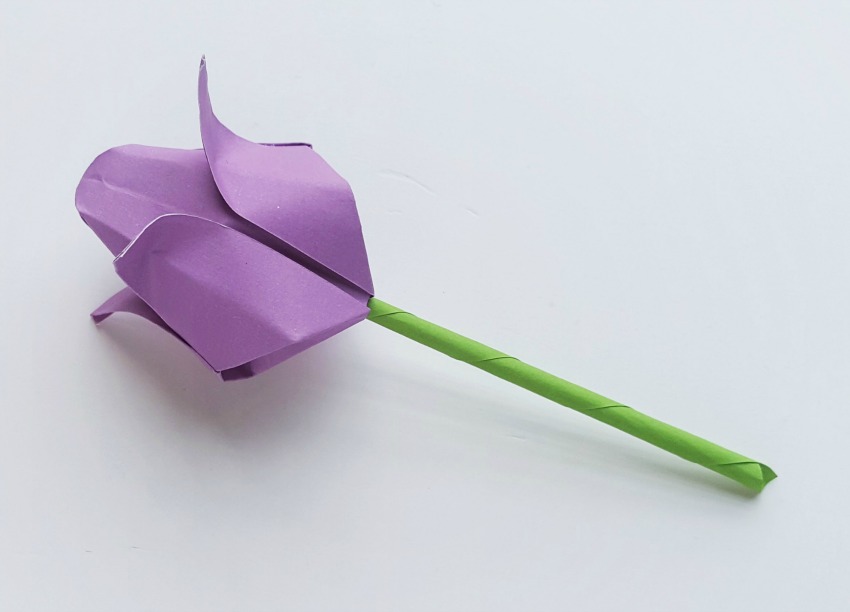 Origami Tulips process