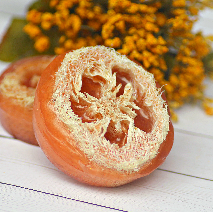 DIY Pumpkin Pie Spice Loofah Soaps