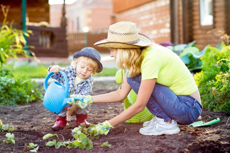 Tips for Making Your Yard Safer for Young Children and Pets