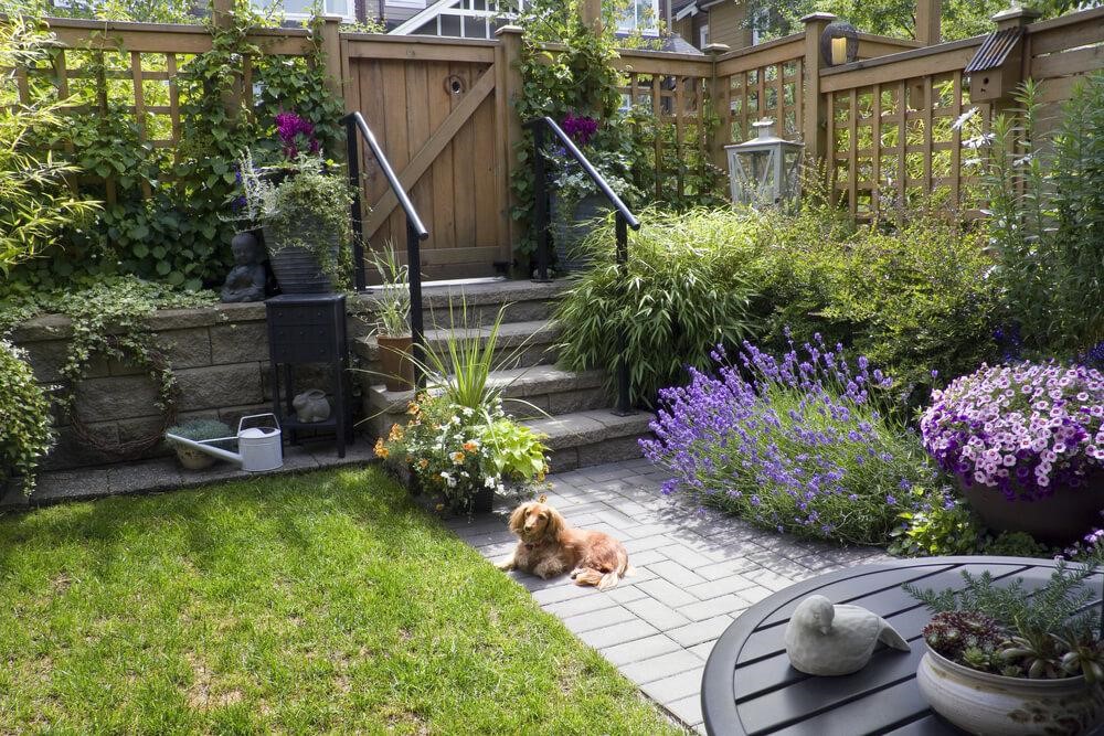 Amazing Tips for Creating a Dog-Friendly Garden