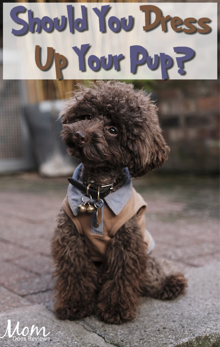 Dressing Up Your Pup: Should You Do It? #pets #dogs #dressup #pups #puppylove 