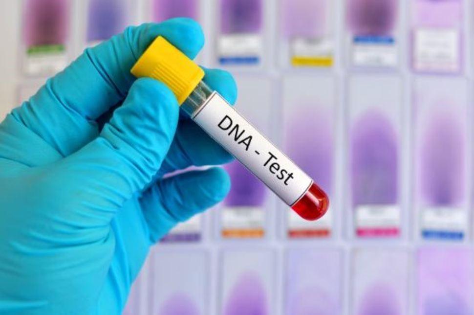 How to Protect Your DNA Data Before & After Taking an at-Home Test