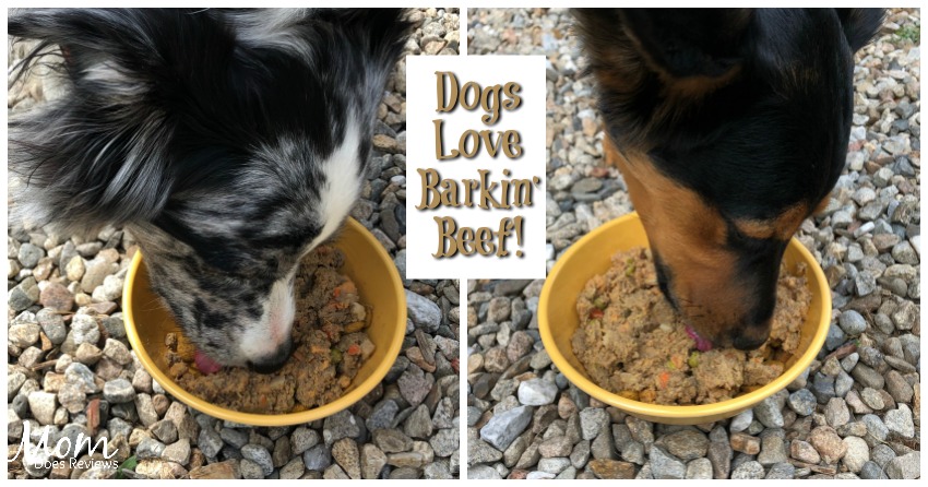 Pet Plate- Healthy Food Cooked Fresh for your Dog! #MDRSummerFun