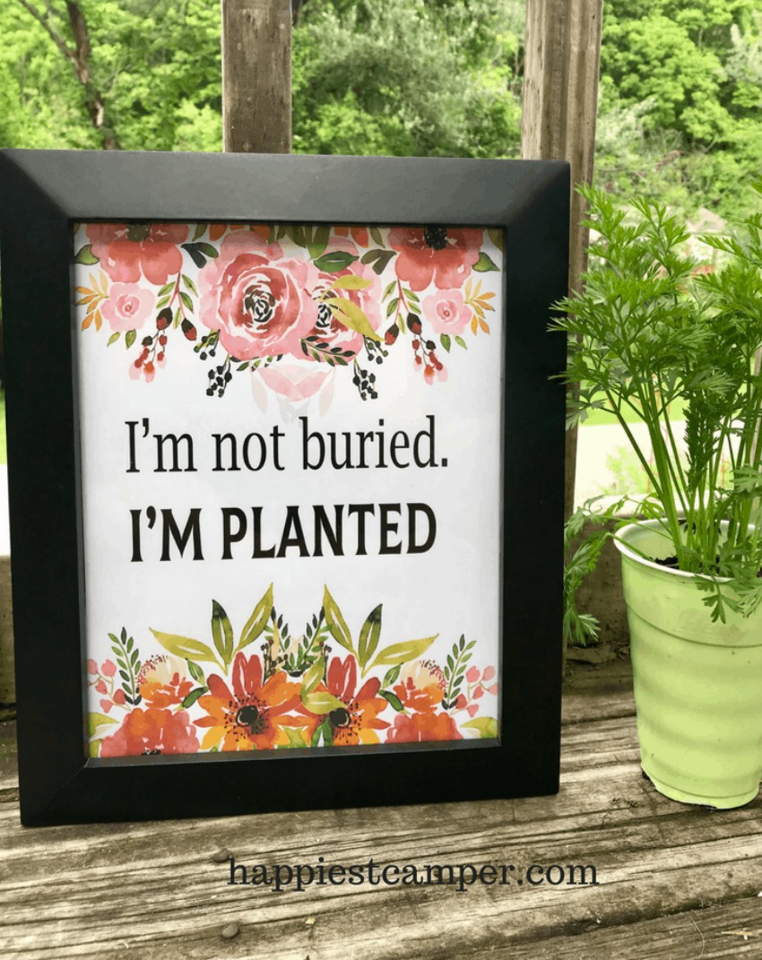 Gardening Quote Inspirational Free Printable