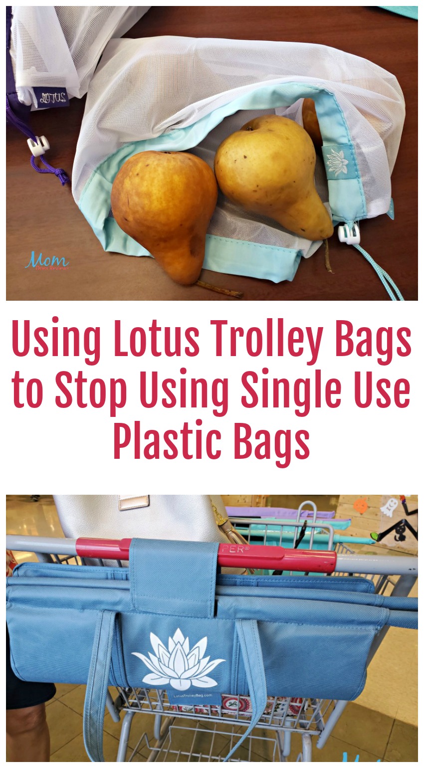 Using Lotus Trolley Bags to Stop Using Single Use Plastic Bags