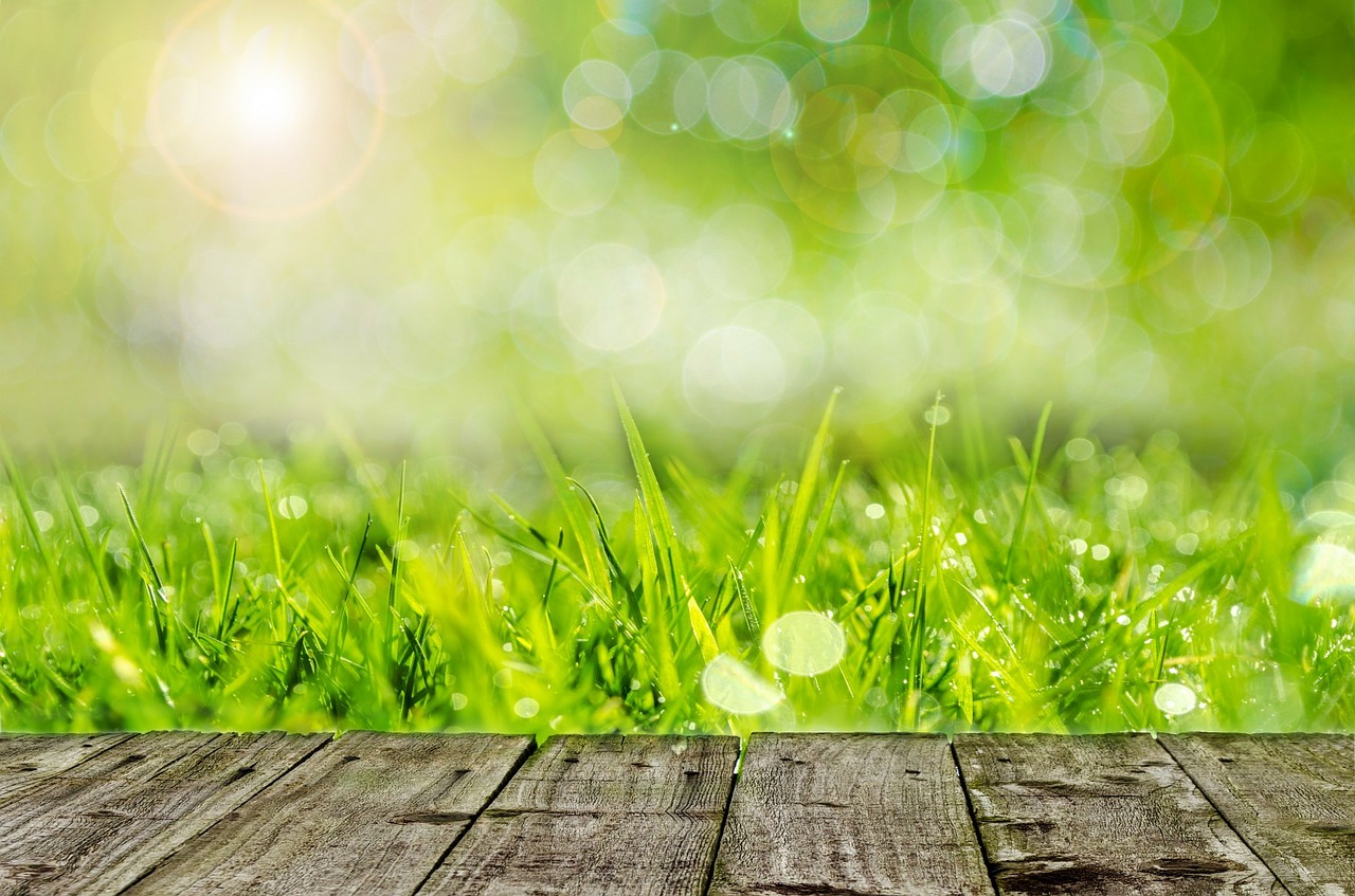 6 Environmentally-Friendly Ways to Care for Your Yard